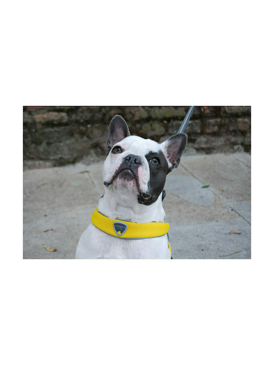 Pet Camelot Dog Harness Cinquetorri Electric 6 Blue 45-55cm C100BE060