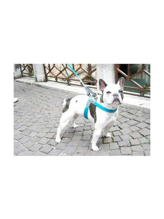 Pet Camelot Σαμαράκι Σκύλου Cinquetorri Electric 5 Μπλε 40 - 50cm