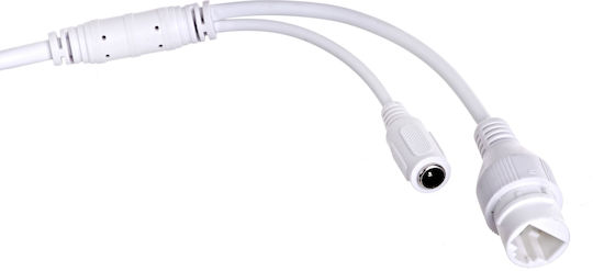 Hikvision DS-2CD1021-I (F) IP Surveillance Camera Full HD 1080p Waterproof with Lens 2.8mm