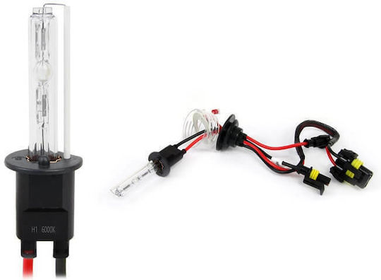 Carner Lamps Car & Motorcycle H1 Xenon 6000K Cold White 12-24V 35W 1pcs