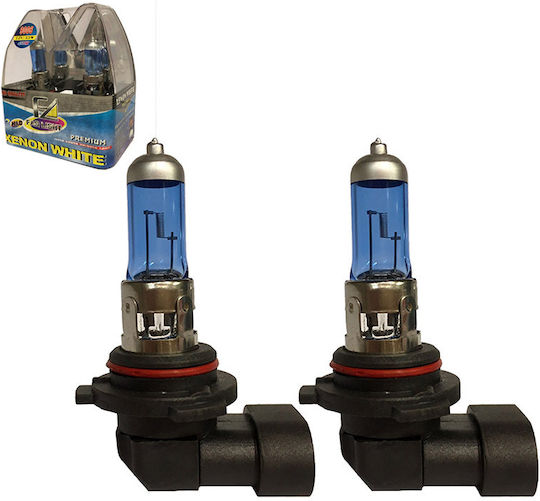 Xtec Лампи Автомобила HB4-9006 Халогенни 4200К Неутрално бяло 12V 55W 2бр