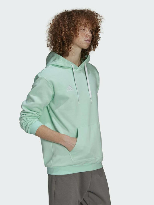 Entrada 22 Sweatshirt with Hood Clear Mint
