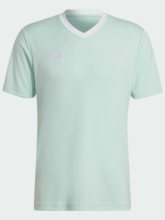 Entrada 22 Aeroready Athletic T-shirt Clear Mint