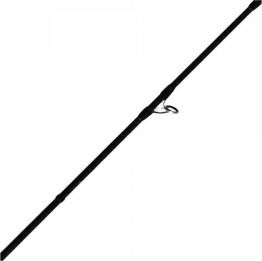 Ryobi Varius C1902 Καλάμι Ψαρέματος για Slow Jigging 1.9m 300gr