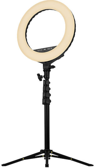 Streamplify Light 14 Ring Light 36cm 3000 - 6000K με Τρίποδο Δαπέδου και Βάση για Κινητό