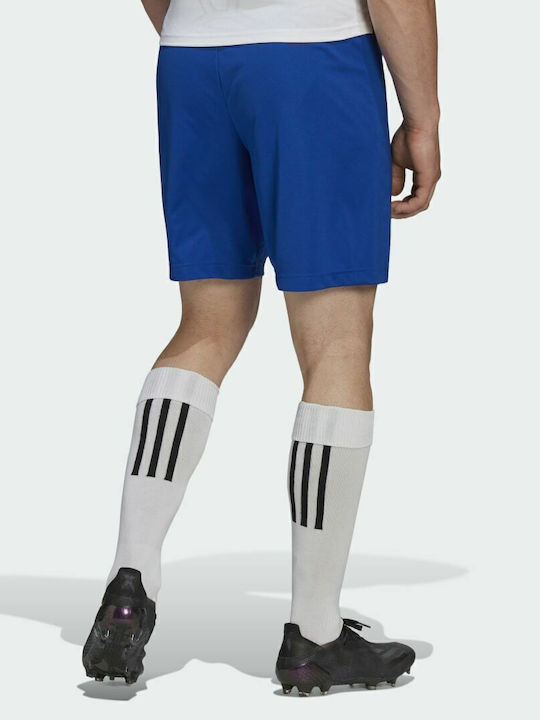 adidas adidas