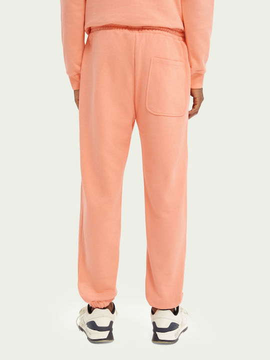 Scotch & Soda Scotch & Soda