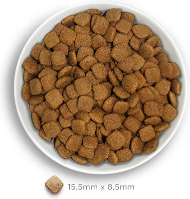 Amanova Adult Mature 10kg Dry Food With Few Grains for Senior Dogs with Fish