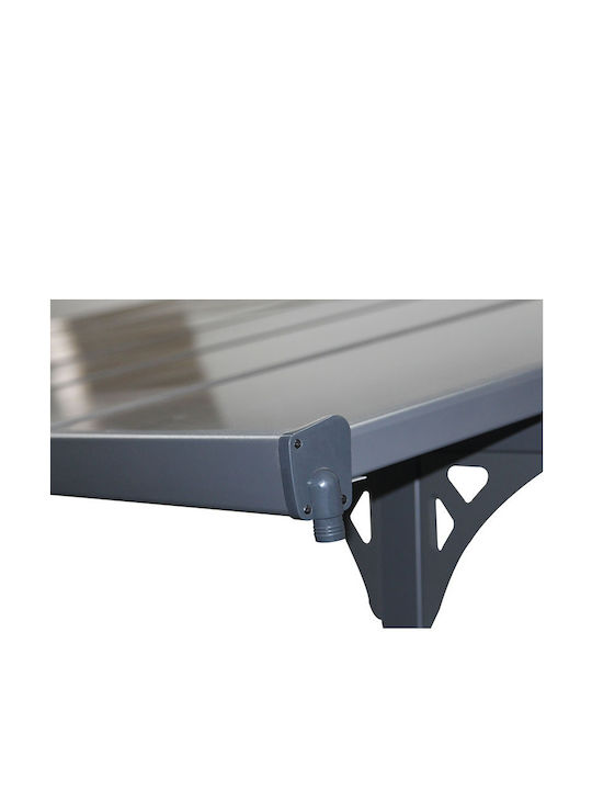 Vesta Acoperiș Policarbonat Pentru Curtea P435xL300cm