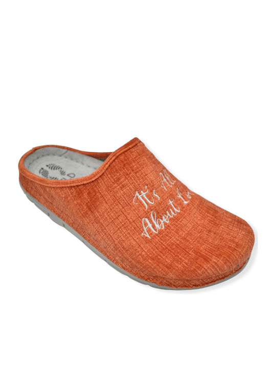 Fild Anatomic Fild Anatomic