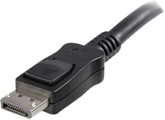StarTech Kabel DisplayPort-Stecker - DisplayPort-Stecker 0.5m Schwarz (DISPL50CM)
