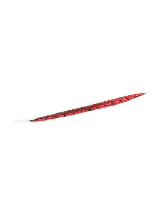 Espiel Decorative Feather Red 80cm 1pcs