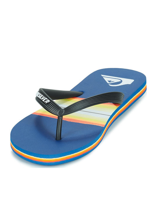 Molokai Resin Tint Men's Flip Flops Blue