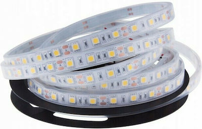 Eurolamp Rezistentă la apă Bandă LED Alimentare 24V cu Lumină Alb Cald Lungime 5m și 60 LED-uri pe Metru SMD2835
