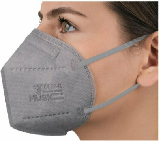 Musk Meltblown Protective Schutzmaske FFP2 Gray 10Stück