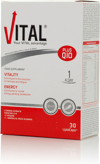 Vital Plus Q10 Πολυβιταμίνη για Ενέργεια & Ενίσχυση του Ανοσοποιητικού 10mg 30 μαλακές κάψουλες