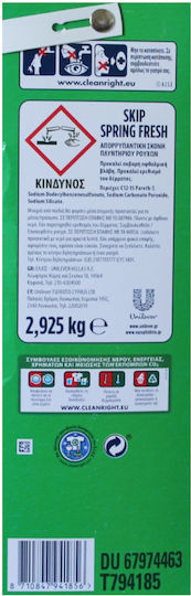 Skip Spring Fresh Απορρυπαντικό Ρούχων σε Σκόνη 2.9kg (45 Μεζούρες)