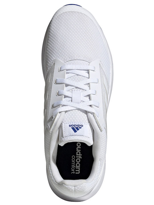 Galaxy 5 Herren Sportschuhe Laufen Cloud White / Royal Blue