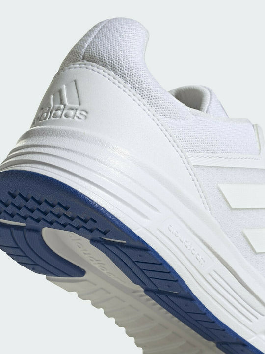 Galaxy 5 Herren Sportschuhe Laufen Cloud White / Royal Blue