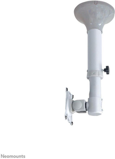 Newstar FPMA-C025SILVER Suport TV Plafon cu braț până la 30" și 12kg