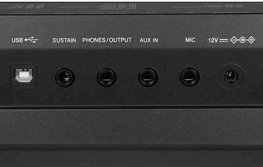 Medeli Aranjor M-361 + PSU cu 61 Dinamic Taste Negru