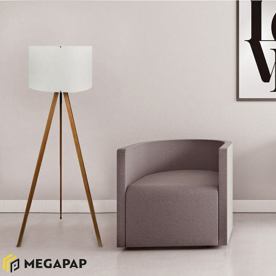 Megapap Rosling Megapap Rosling