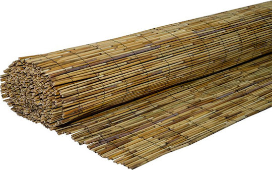 Showood Premium Gard de Bambus cu Întregul Reed 2x5m