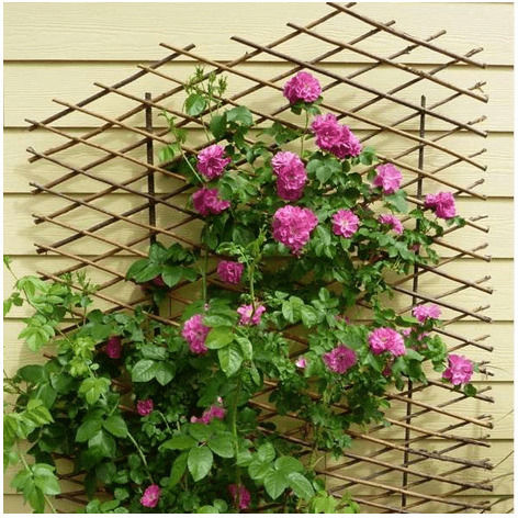 Grilaj Pliabil de Grădină din Lemn cu Plasă în Formă de Romb de Culoare Maro 180x120cm