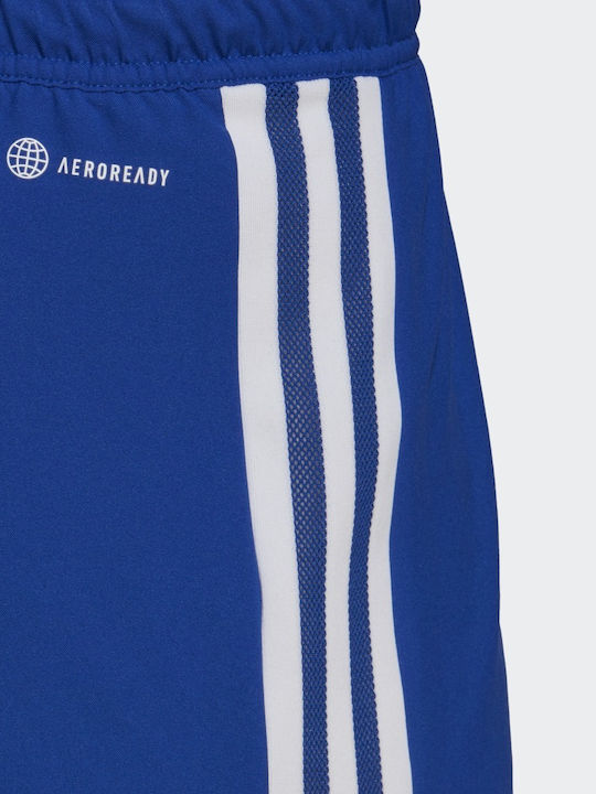 Condivo 22 Мъжка Бермуда Royal Blue / White