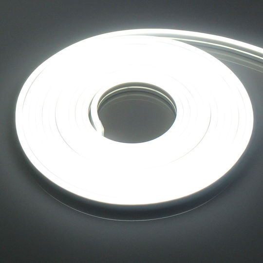 Waterproof LED Strip 12V Cold White Light 5m Neon Flex