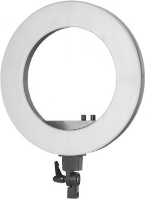 Zomei LED Ring Light Ring Light 45cm with Tripod Floor and Mobile Holder