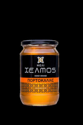 Χελμός Honey Orange 480gr