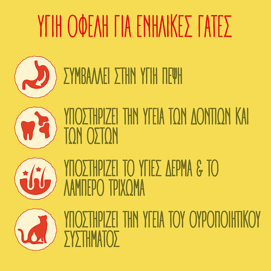 Friskies Ξηρά Τροφή για Ενήλικες Γάτες με Κοτόπουλο / Γαλοπούλα / Λαχανικά 20kg