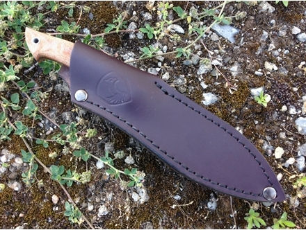 Condor Tool & Knives Neonessmuk Knife Beige in Leather Sheath