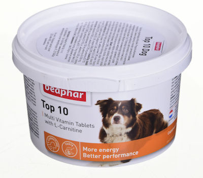 Beaphar Top 10 for Dogs in Syrup