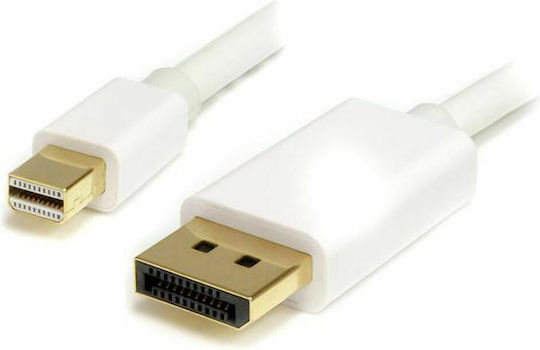 StarTech Cable mini DisplayPort male - DisplayPort male 1m (MDP2DPMM1MW)