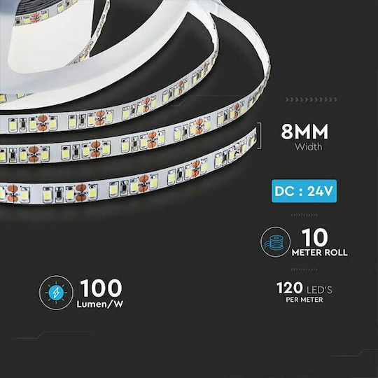 V-TAC Ταινία LED 24V Ψυχρό Λευκό Φως 10m Τύπου SMD2835