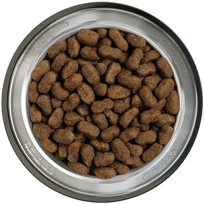 Belcando Adult GF Beef 1kg Dry Food Grain Free for Adult Dogs with Beef