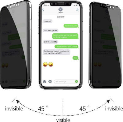 Privacy Full Face Tempered Glass (iPhone 12 / 12 Pro) 34.309.1125