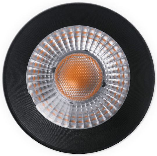 Elvhx Pendant Light Black Rail