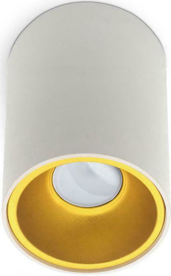Geyer Single Spot with Socket GU10 in White Color Geyer Single Spot with Socket GU10 in White Color