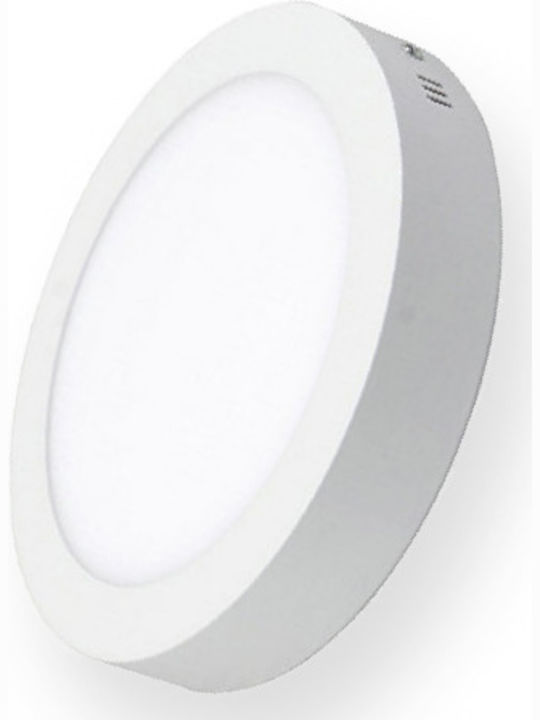 Lucas Rund Draußen LED Panel 24W mit Natürliches Weiß Licht 4000K