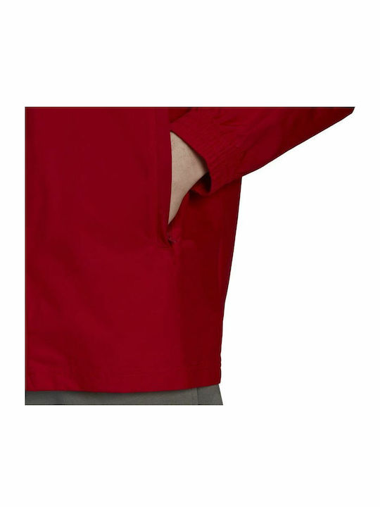 Entrada 22 Geacă Sport Waterproof Burgundy