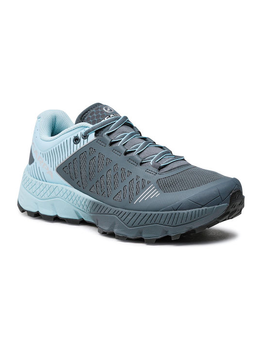 Scarpa