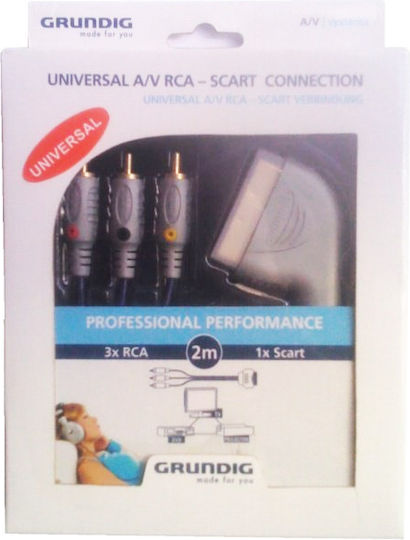Grundig Cable Scart male - Composite male 2m Black 42166573