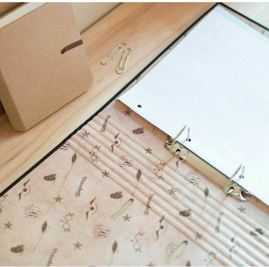 Grupo Erik Mappe mit 2 Ringen für Papier A4 Mehrfarbig 1Stück