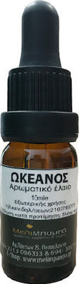 ΜελιΜπαμπά Essential Oil Ocean with Dropper 10ml