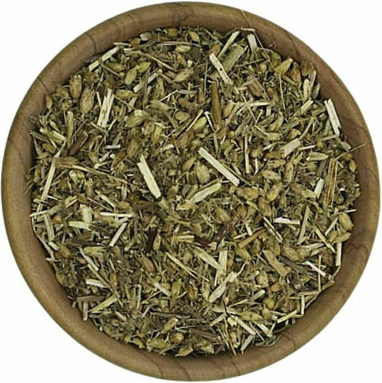 Αχιλλέα Η Αγριαψιθιά Βότανο Αποξηραμένο Spices Bazaar 100γρ