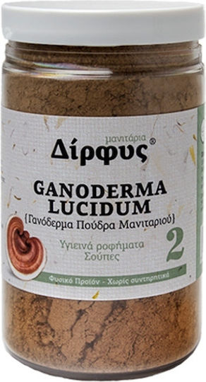 Μανιτάρια Δίρφυς Γανόδερμα σε Σκόνη 120gr