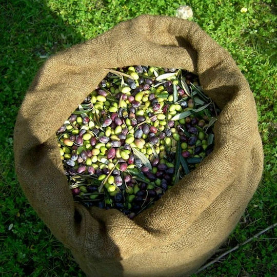Jute Olive Harvesting Bag 60x110cm 1pc